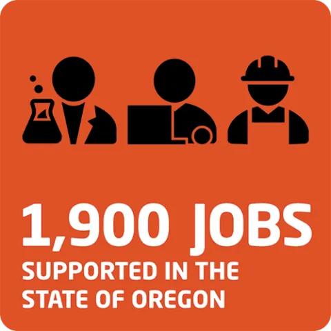 Infographic detailing the number of jobs supported by international student enrollment